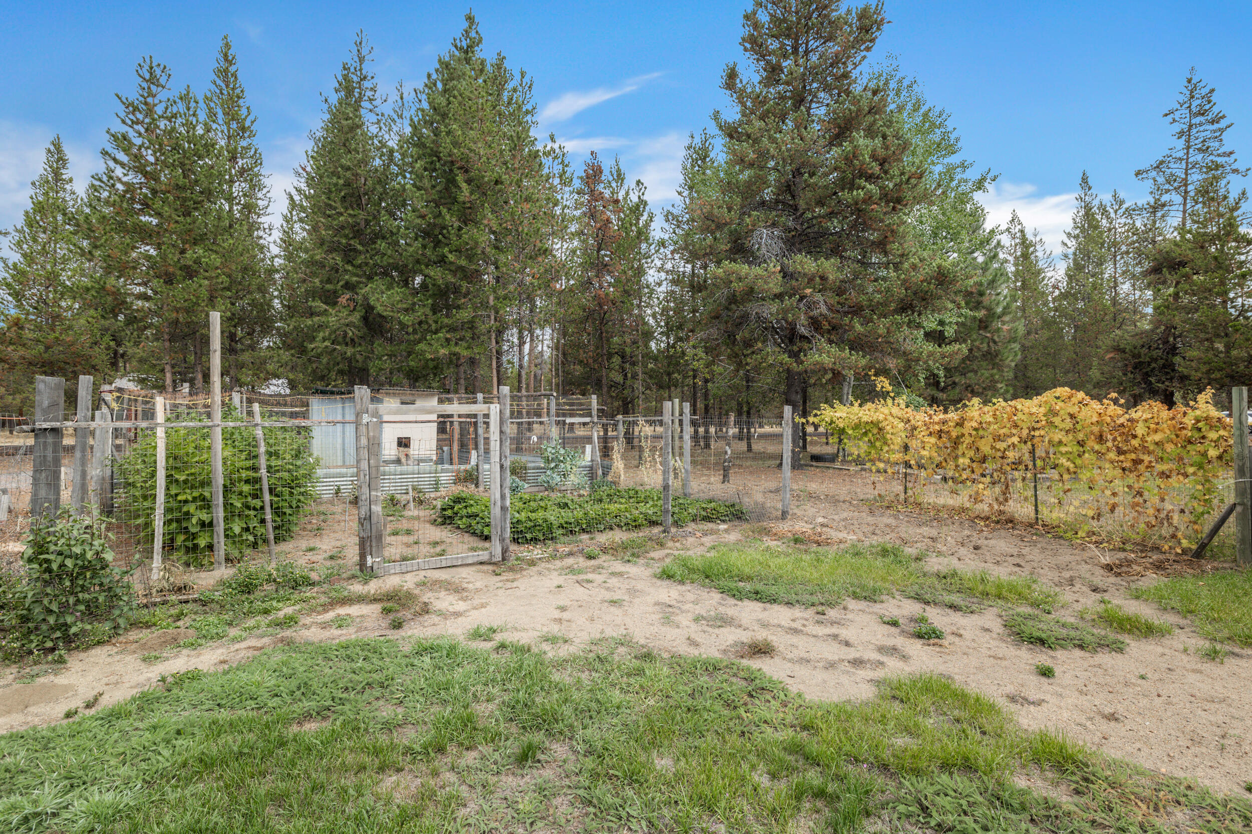 LazyRS - Residential