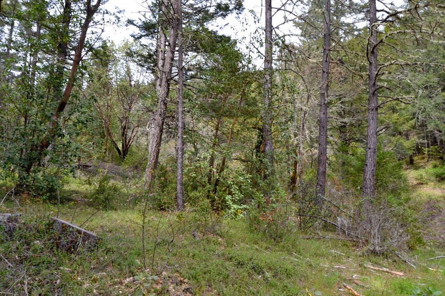 18.57 acres to build your dream home. Located approx 15 mins to Grants Pas this property provides excellent view. Many trees on this hill side property with level areas to build on. Possible marketable timber per seller but has not been timber cruised. Sit way back off the highway and has driveway to property. Make and appt. to tour this property.