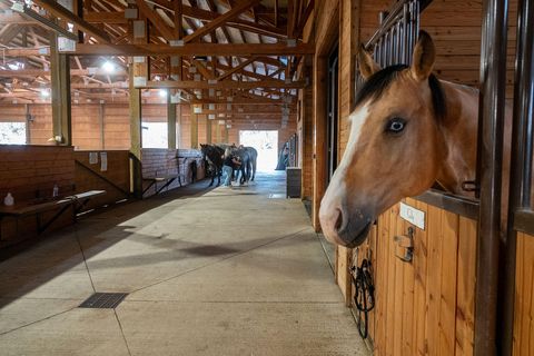 Tiny photo for 66505 Gerking Market Road, Bend, OR 97703 (MLS # 220207668)