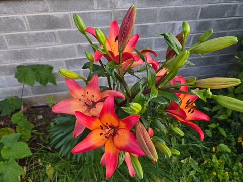 Tiny photo for 1215 NE A Street NE, Grants Pass, OR 97526 (MLS # 220213426)