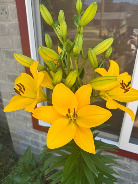 Tiny photo for 1215 NE A Street NE, Grants Pass, OR 97526 (MLS # 220213426)