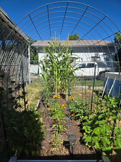 Tiny photo for 1215 NE A Street NE, Grants Pass, OR 97526 (MLS # 220213426)