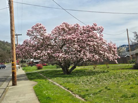 Tiny photo for 1215 NE A Street NE, Grants Pass, OR 97526 (MLS # 220213426)