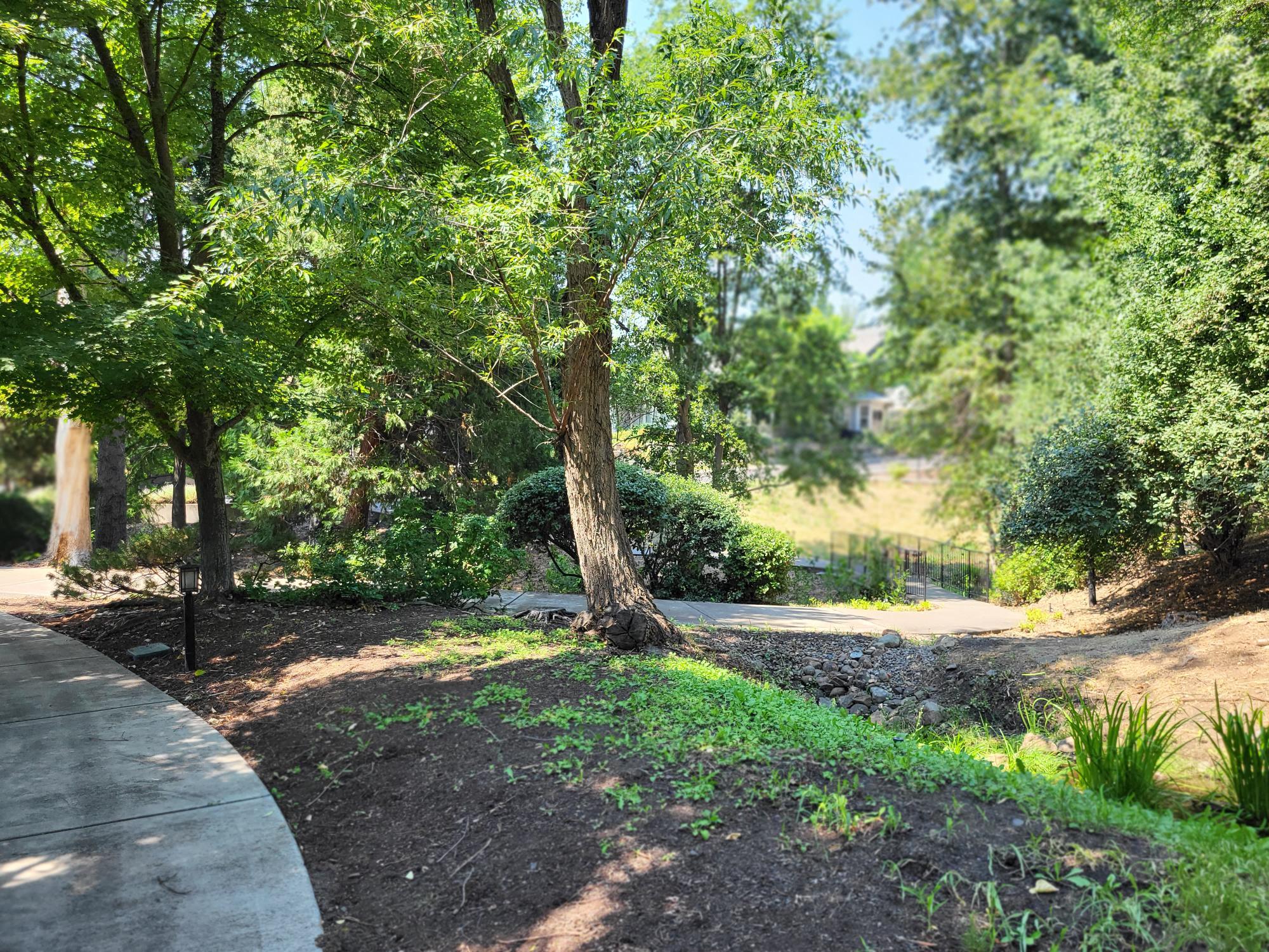 Mountain Meadows Subdivision Phase 1 - Residential