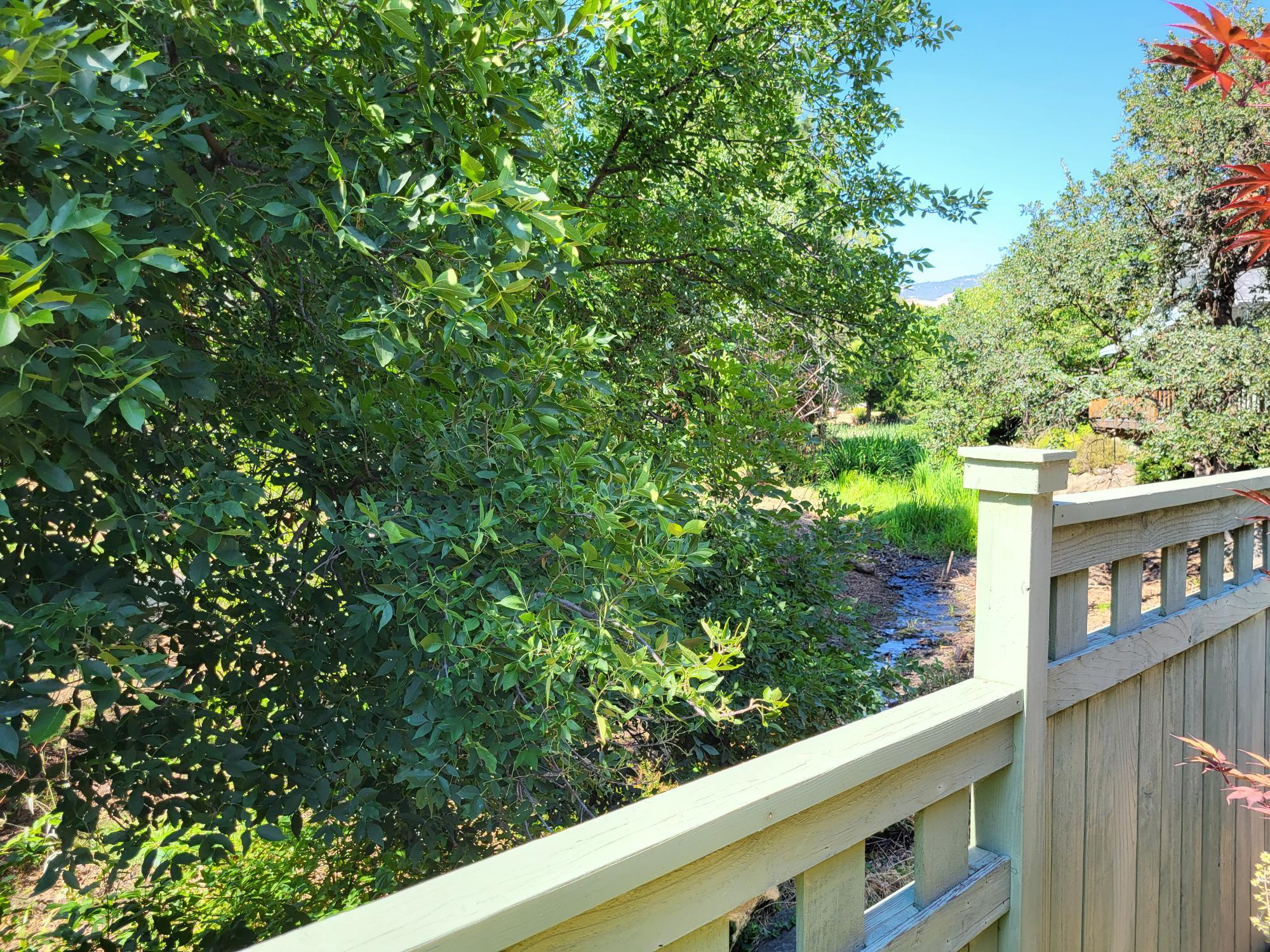Mountain Meadows Subdivision Phase 1 - Residential