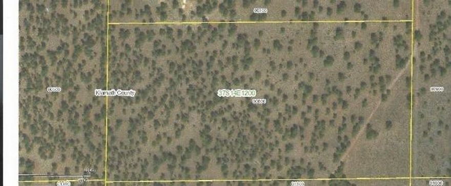 20 Acres Fishhole Creek Rd.- This is a nice piece of property. Fairly level property with easement road off Fishhole Creek Rd with lots of trees! property is not too far from Hwy 140.