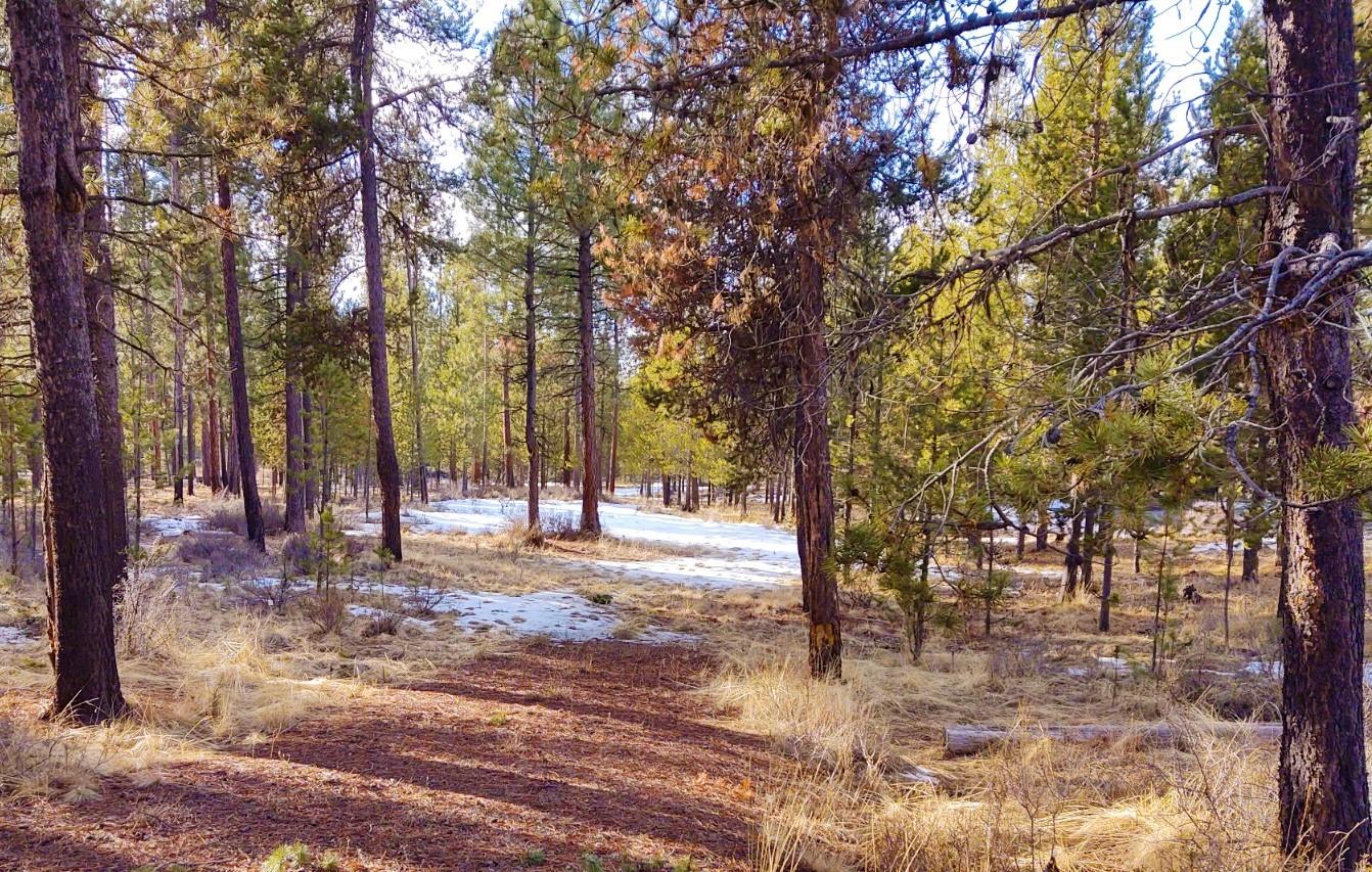Deschutes River Ranc - Land