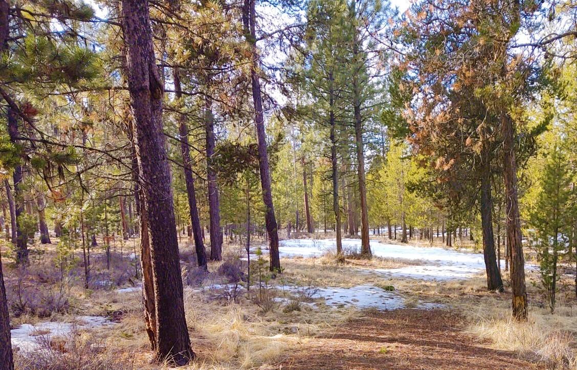 Deschutes River Ranc - Land