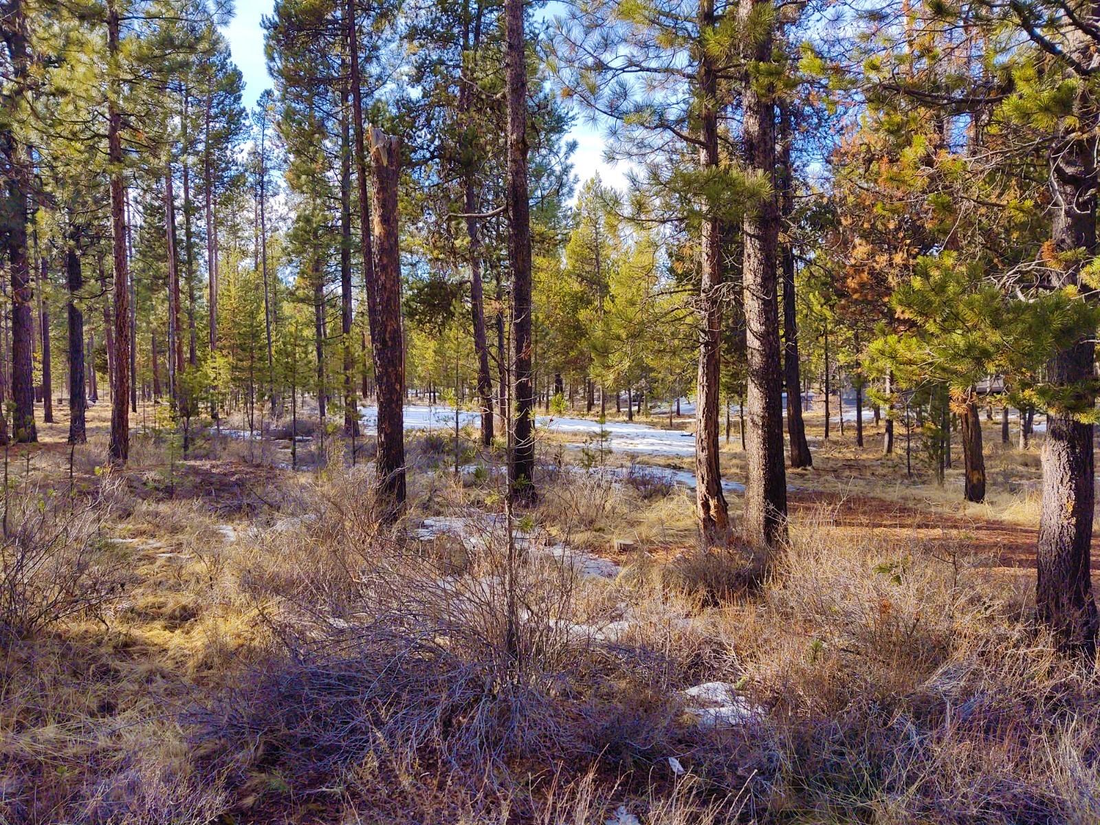 Deschutes River Ranc - Land