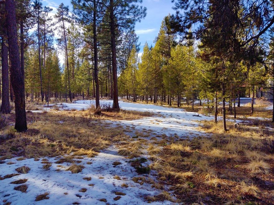 Feeling cooped up lately?  Build your home or vacation getaway here right up against 2300 acre La Pine State Park with 14 miles of hiking trails and the Deschutes River to float or fish on.
