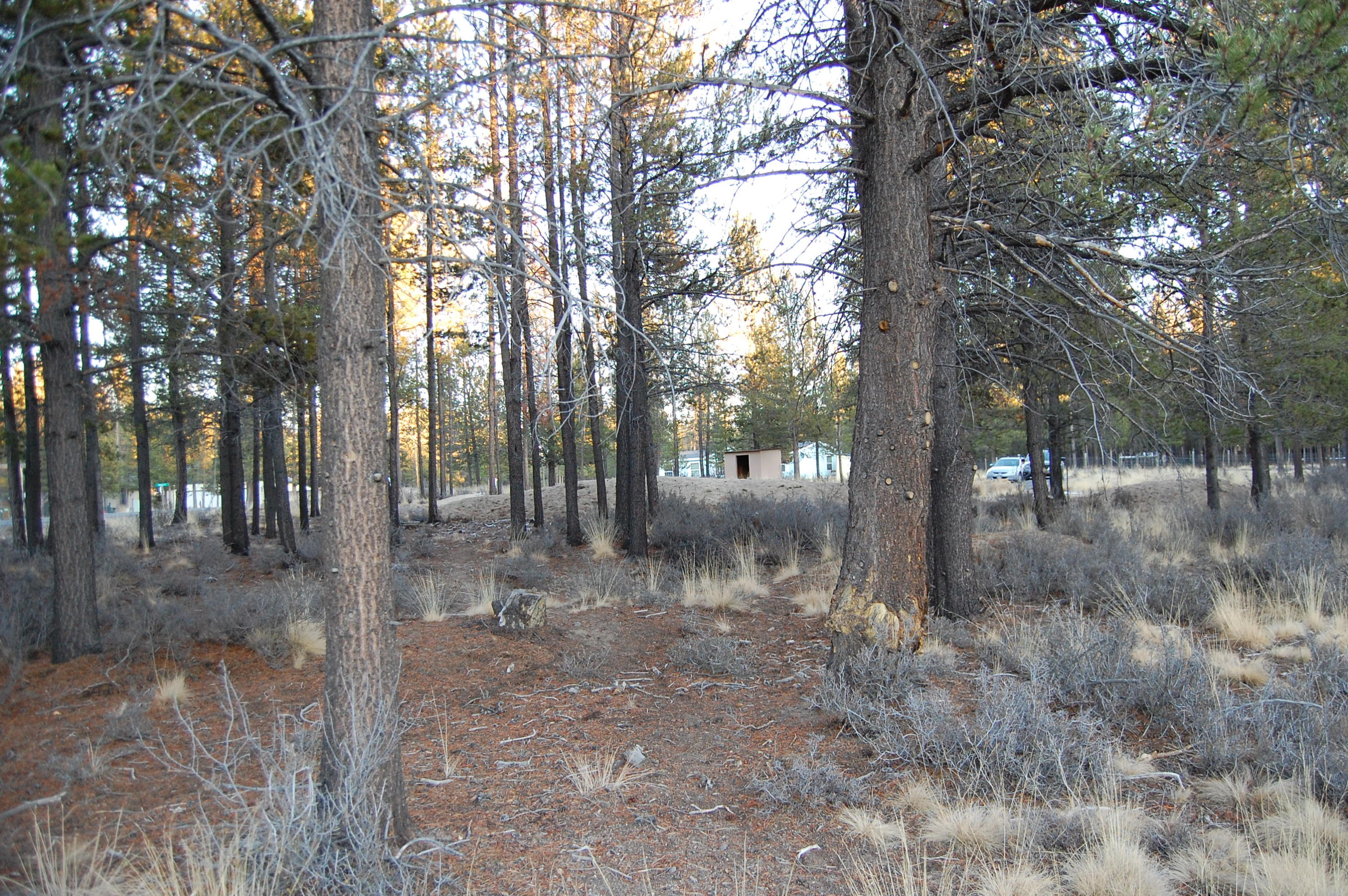 Split Rail Ranchos - Land