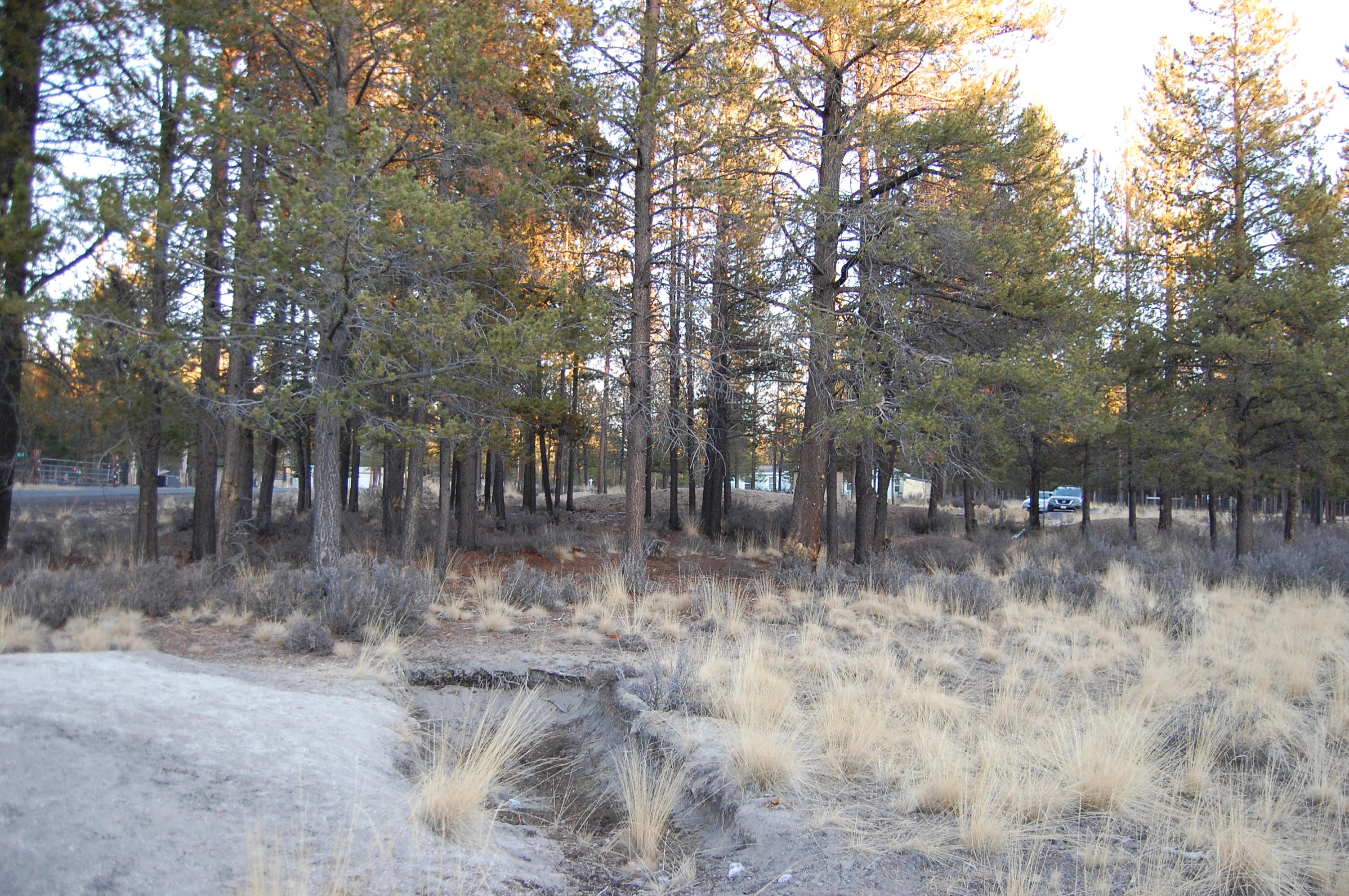 Split Rail Ranchos - Land