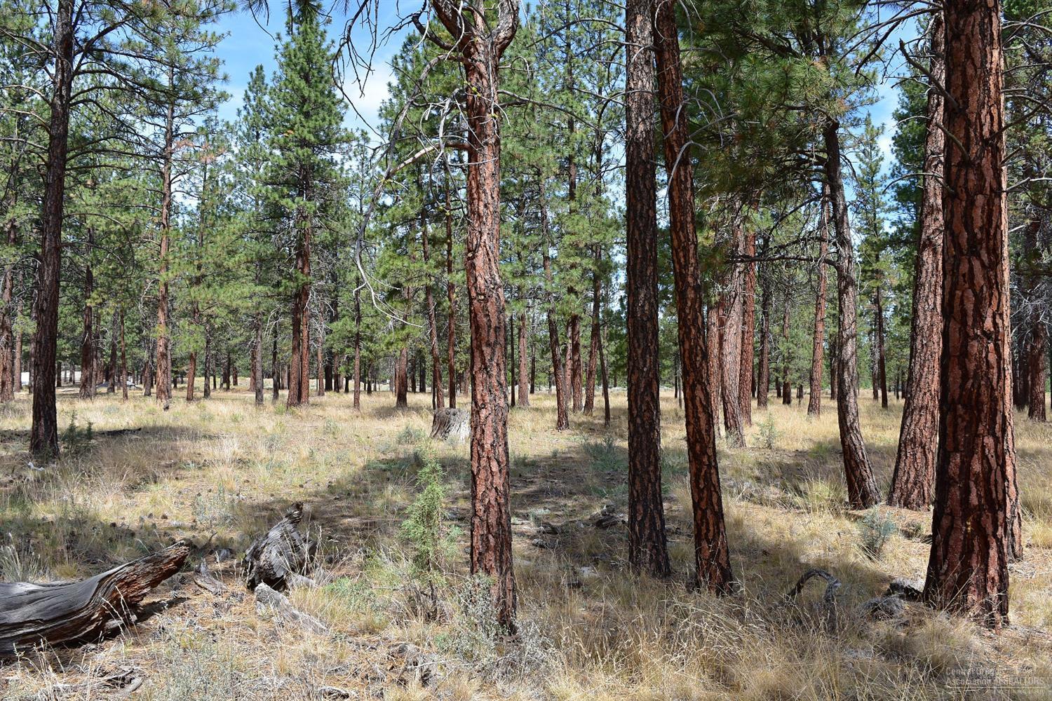 Hawksflight Airpark - Land