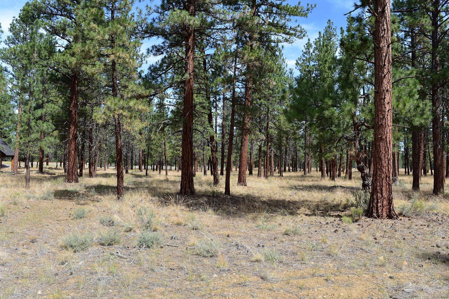 Hawksflight Airpark - Land