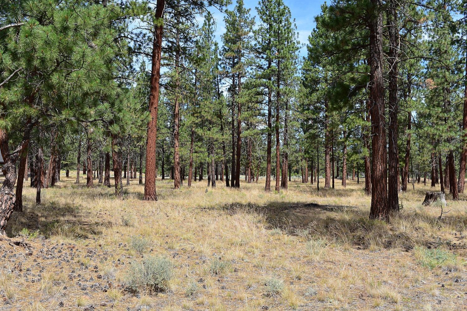 Hawksflight Airpark - Land