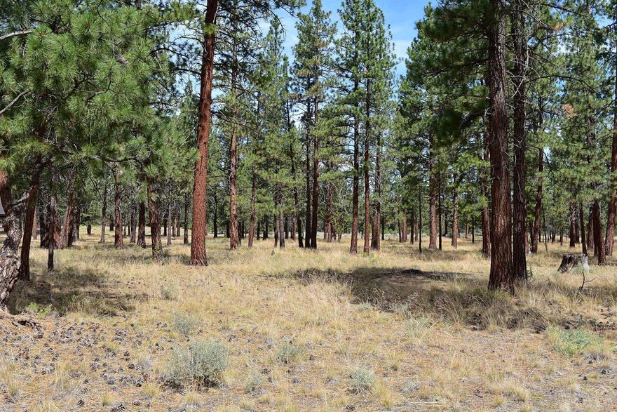 Hawksflight Estates - Next to Sisters Eagle Air at the Sisters Airport. A subdivision of just four two acre homesites for your house and hangar, and three acres for your horses. Paved airport access, power to the property, adjacent to 3,500 paved airport, close to downtown Sisters.