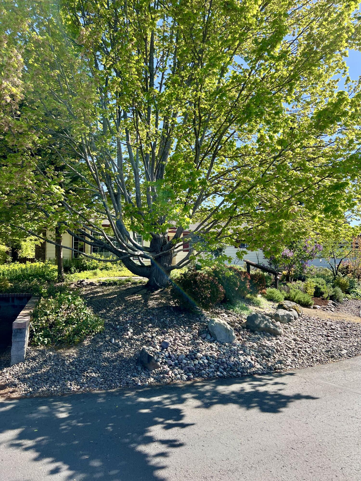 Sun Oaks Subdivision, Phase 2 - Residential