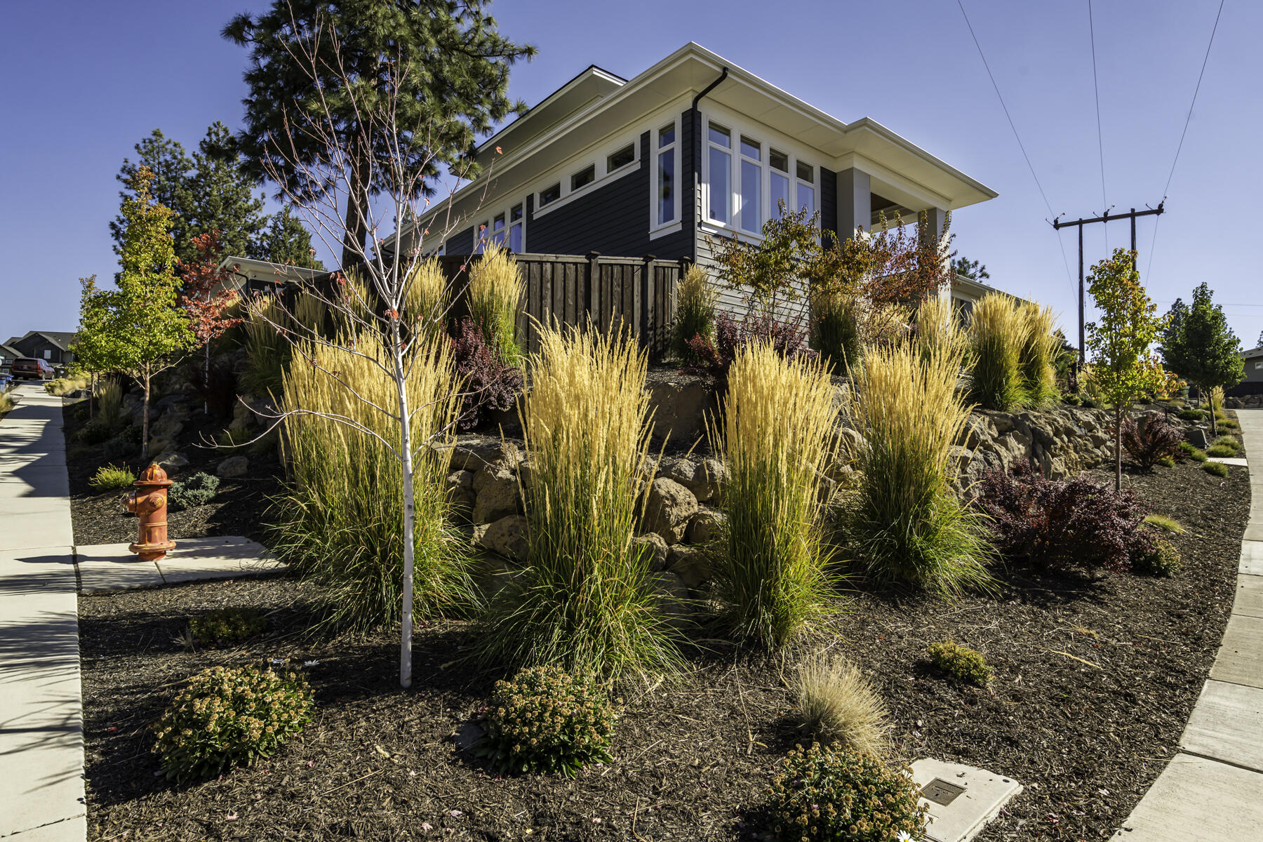 Shevlin Bluffs - Residential