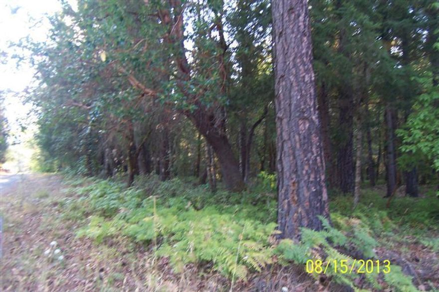 Nice wooded acerage of gently sloping land zoned F-5. This 5 + acres parcel is a corner lot allowing access from two sides. Septic approval was obtained for this lot in the mid 1990's but has since expired. Per county records, good wells in the area. Power and telephone are at the NW edge of the property. Very easy to locate - caddycorner to Golden Rogue Estates.