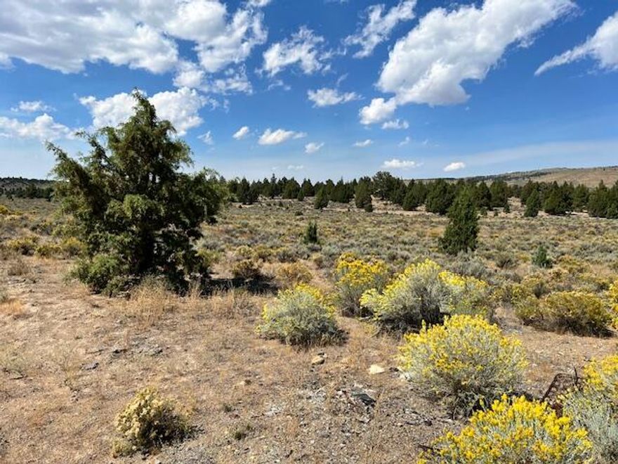 14.6 acres of bare land, zoned agricultural and recreational. This is in the  Goldenview Ranch community and Lot 4400.This is your perfect get away land and opportunity for your next off-grid adventures. Land is located in a private land ownership and surrounded by BLM land and on the OHV system on the north side of Millican. You can ride from the property to Prineville. It's 30 miles from Bend off George Millican and Hwy 20. Land is not buildable but has no restrictions on camping. Sheds and cargo containers are OK on property, but please do your own research. Fenced on one side. Easy access year around. Approximately 2 miles off the main road.Access road is a county maintained forest road.  Owner do due diligence and check in with county for any potential plans.