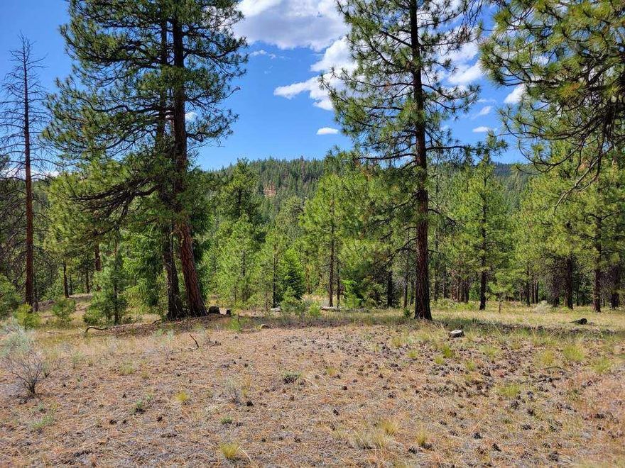 40 acres in the timber! Two 20 acre parcels being sold together North of Prineville. This is a private, quiet and secluded property tucked away within the pine and fir trees. This property has all you need to make it your private retreat. Property has a pond that in the past has been home to catfish, there are some koi, and a large family of ducks, but is also in place for fire suppression. There is a creek running through both parcels, setting the scene for a tranquil atmosphere. A small ''A'' frame cabin overlooks the creek. Other structures include a 24x36 metal pole constructed covered area, trailer and a storage shed. Property has had some clearing done and a road put in for an exceptional site to build your get-away home or permanent residence. A must see! Additional maps and information available upon request. Seen by appointment only.