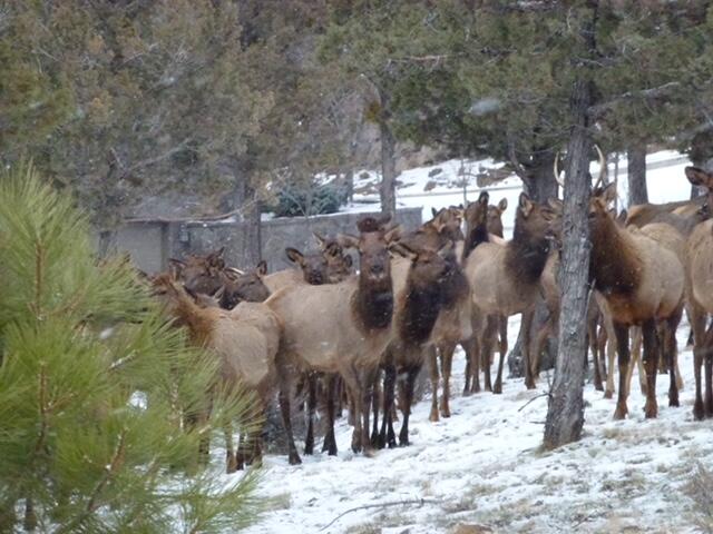 Awbrey Butte - Residential