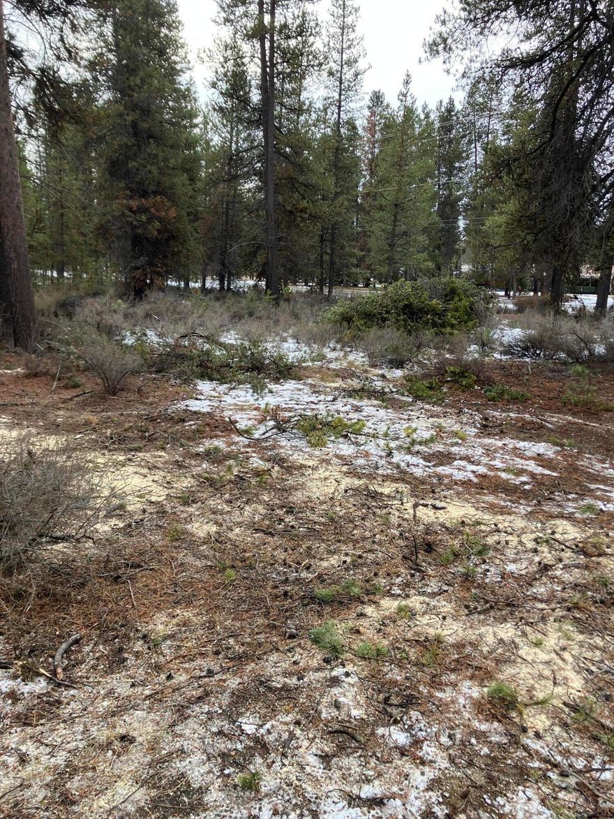 Land, or Land-Home Package available.  Let's build your Central Oregon Dream.  Nicely treed, level lot available with plenty of room to build a home and shop, and park your toys.  Convenient location on paved road close to town, but far enough to have your privacy.  Seller is a licensed broker in the state of Oregon.  

Seller Carried financing is an option for this property.