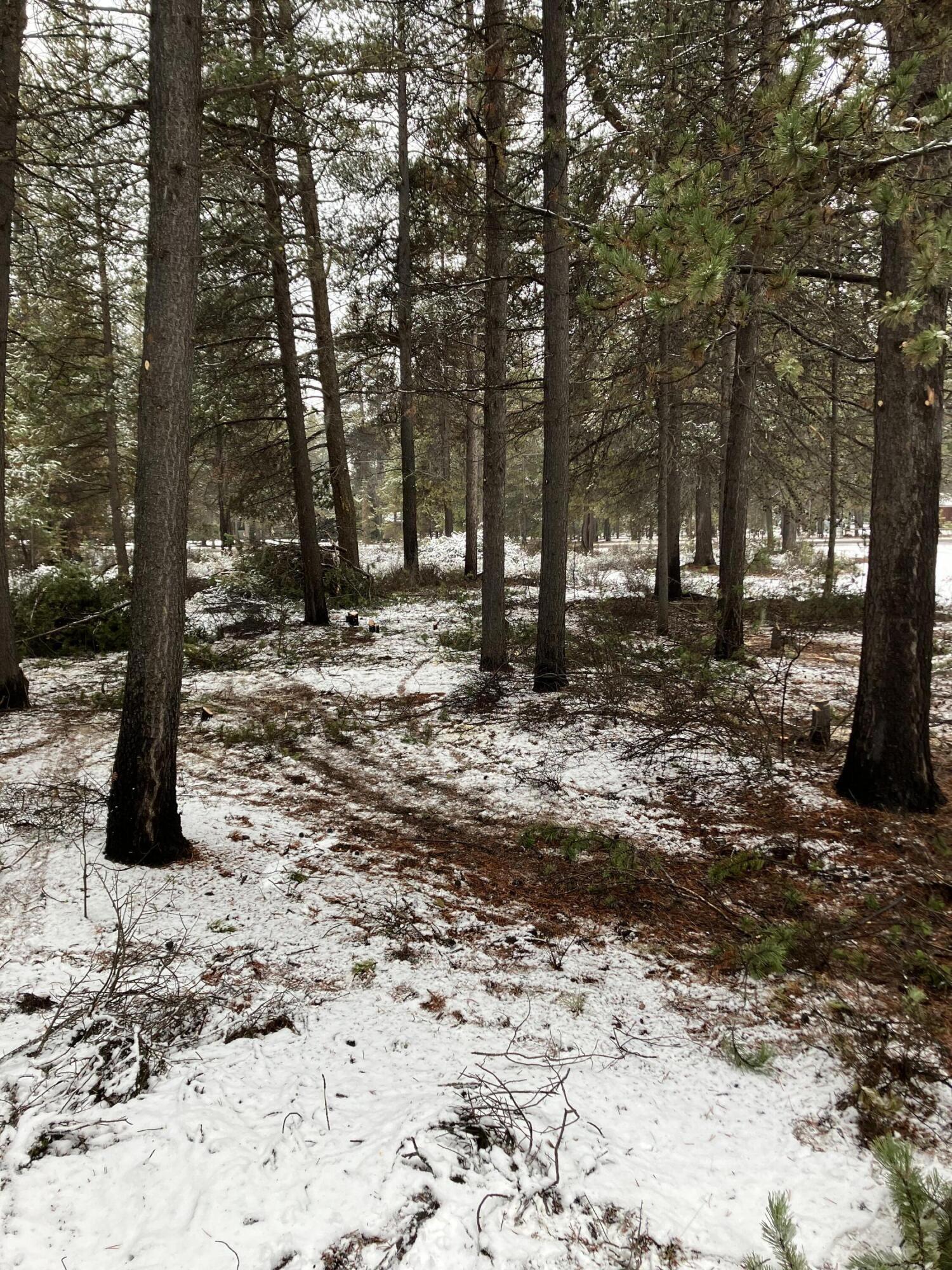 Cw Reeve Resort - Land