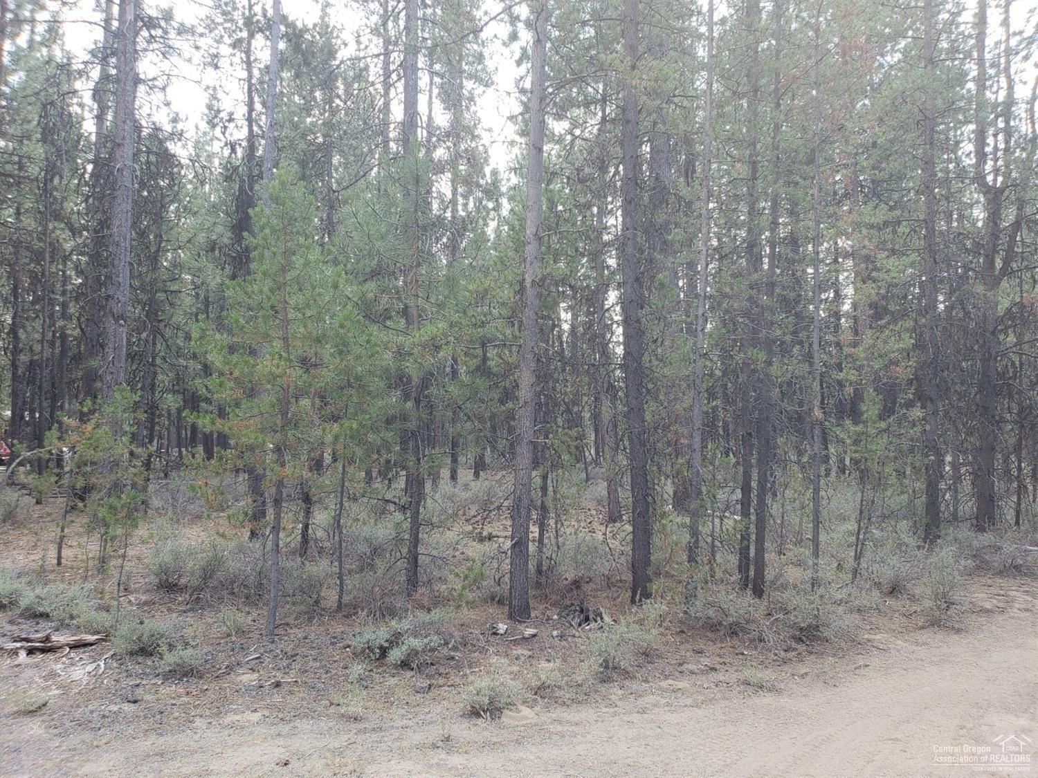 Ponderosa Pines East - Land