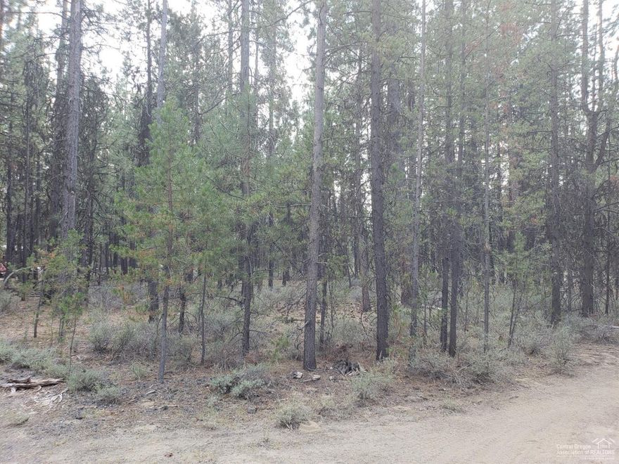 Build your dream home on this nicely treed lot! Good location close to town. Next door lot is also available. Come see today!