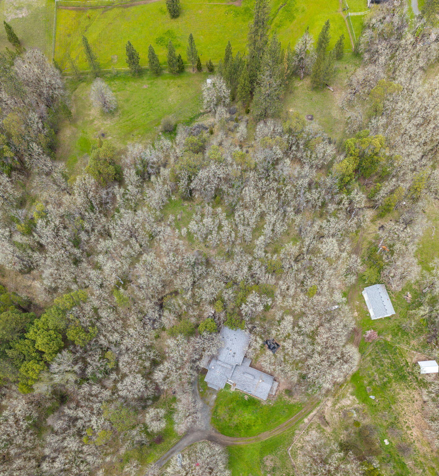 13645 E Evans Creek Road