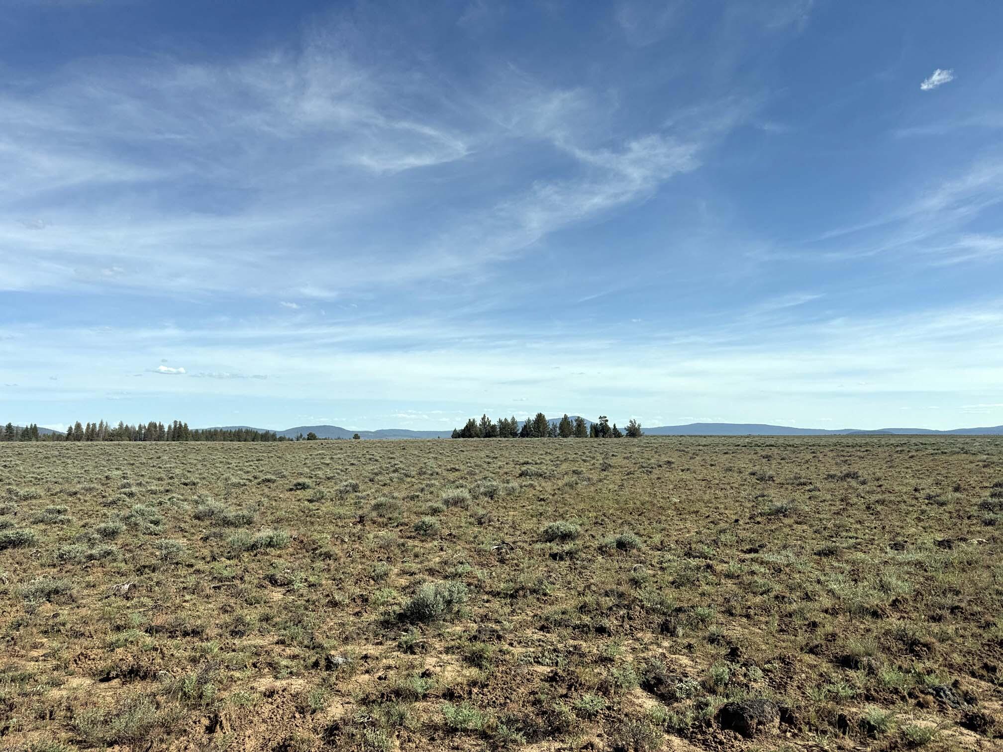 Oregon Pines Road TL 2000