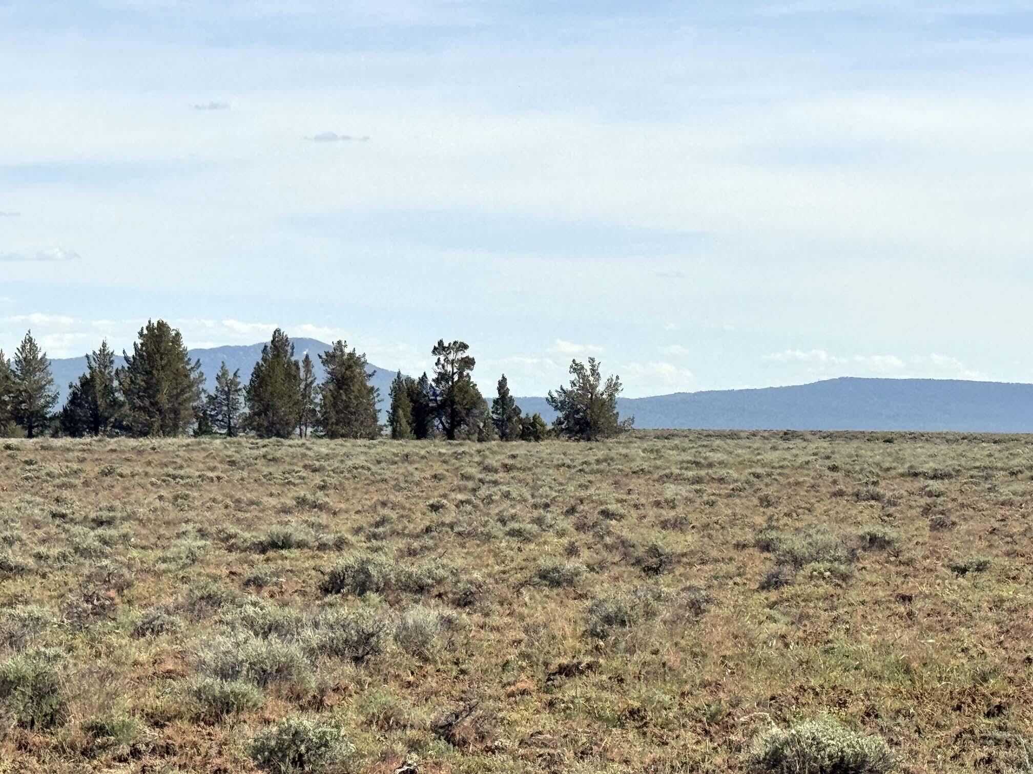 Oregon Pines Road TL 2000