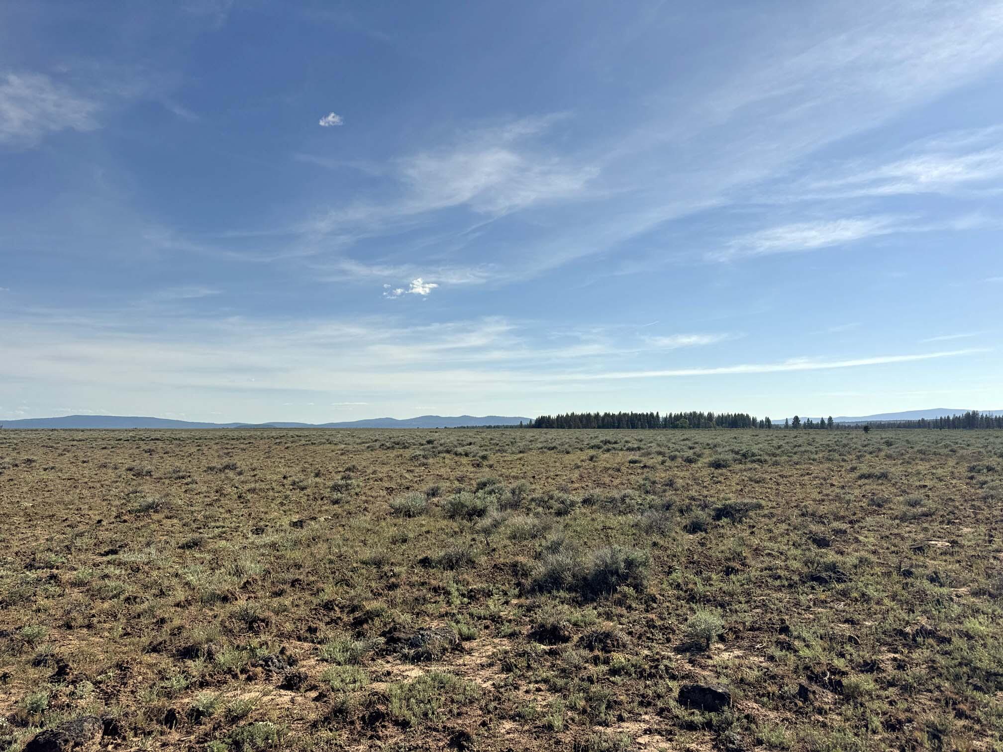 Oregon Pines Road TL 2000