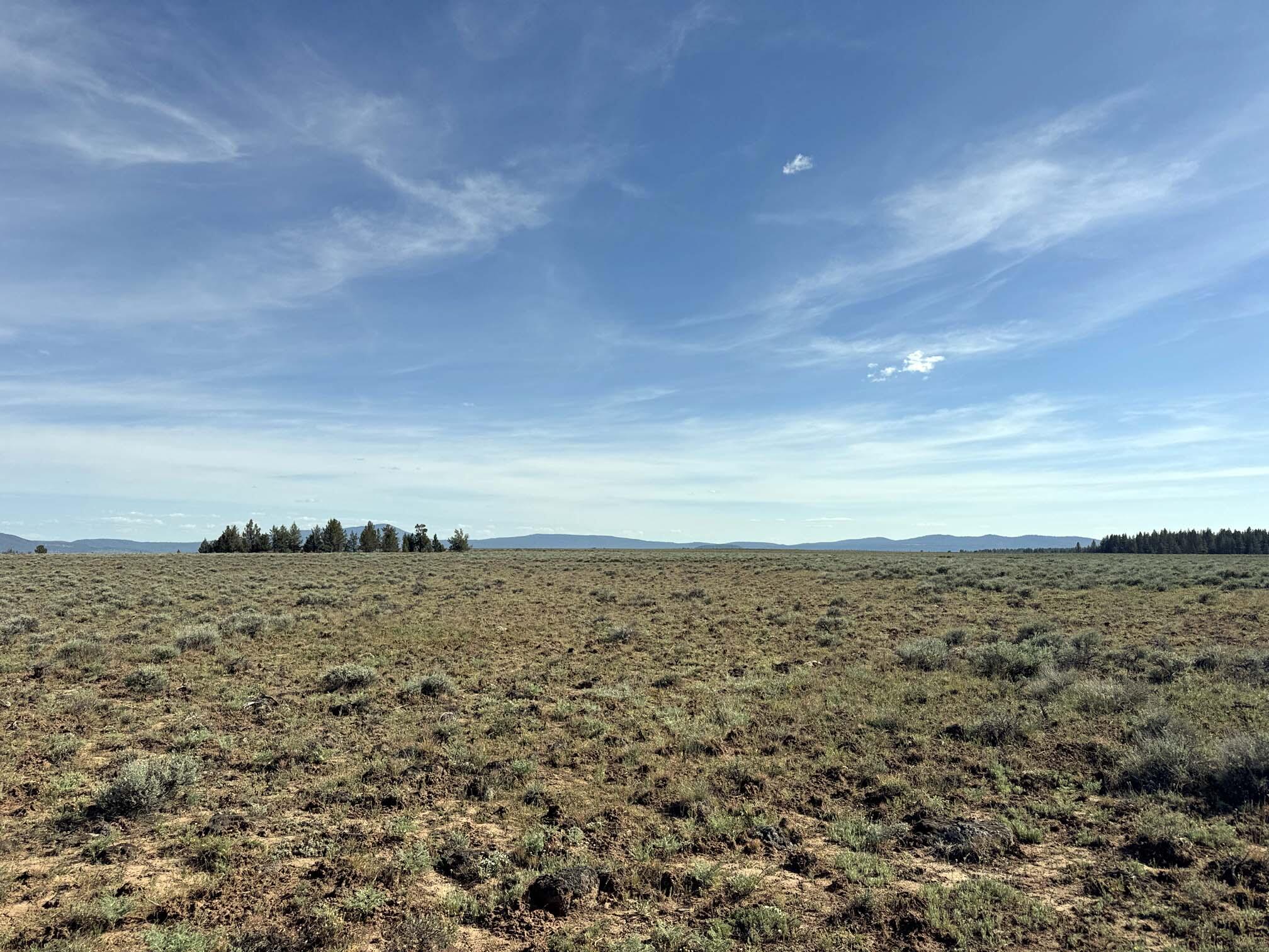 Oregon Pines Road TL 2000