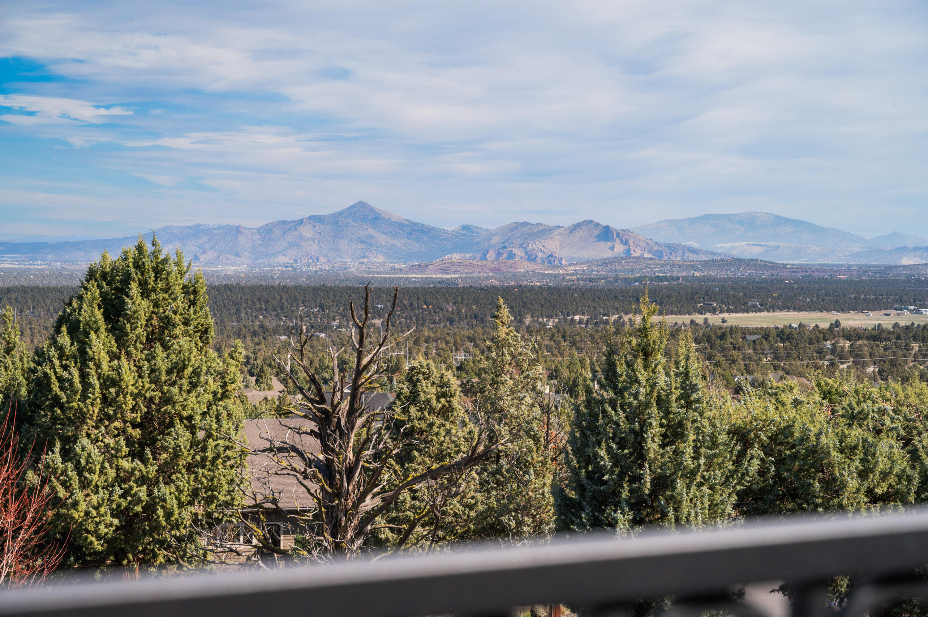 10504 Bitterbrush Court