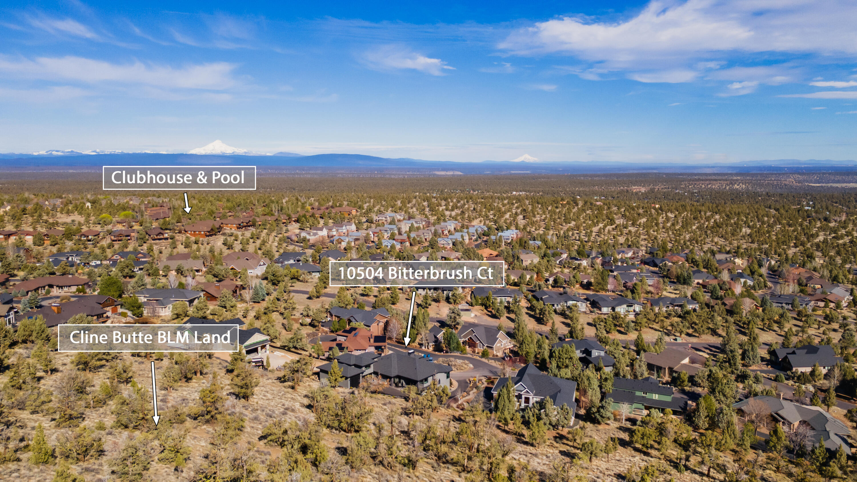 10504 Bitterbrush Court