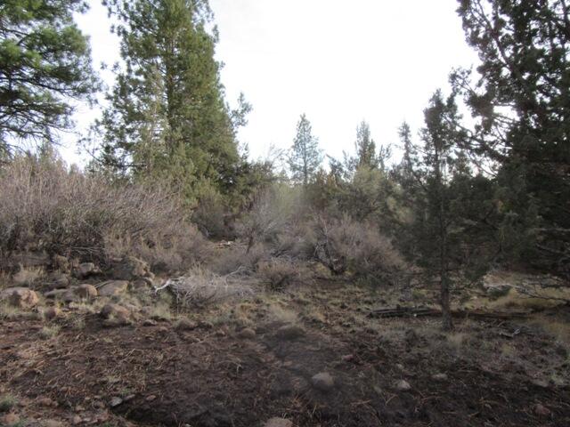 Klamath Falls Forest Estates -Hwy 66 Unit -Plat No. 1 - Land