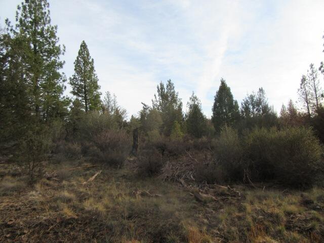 Klamath Falls Forest Estates -Hwy 66 Unit -Plat No. 1 - Land