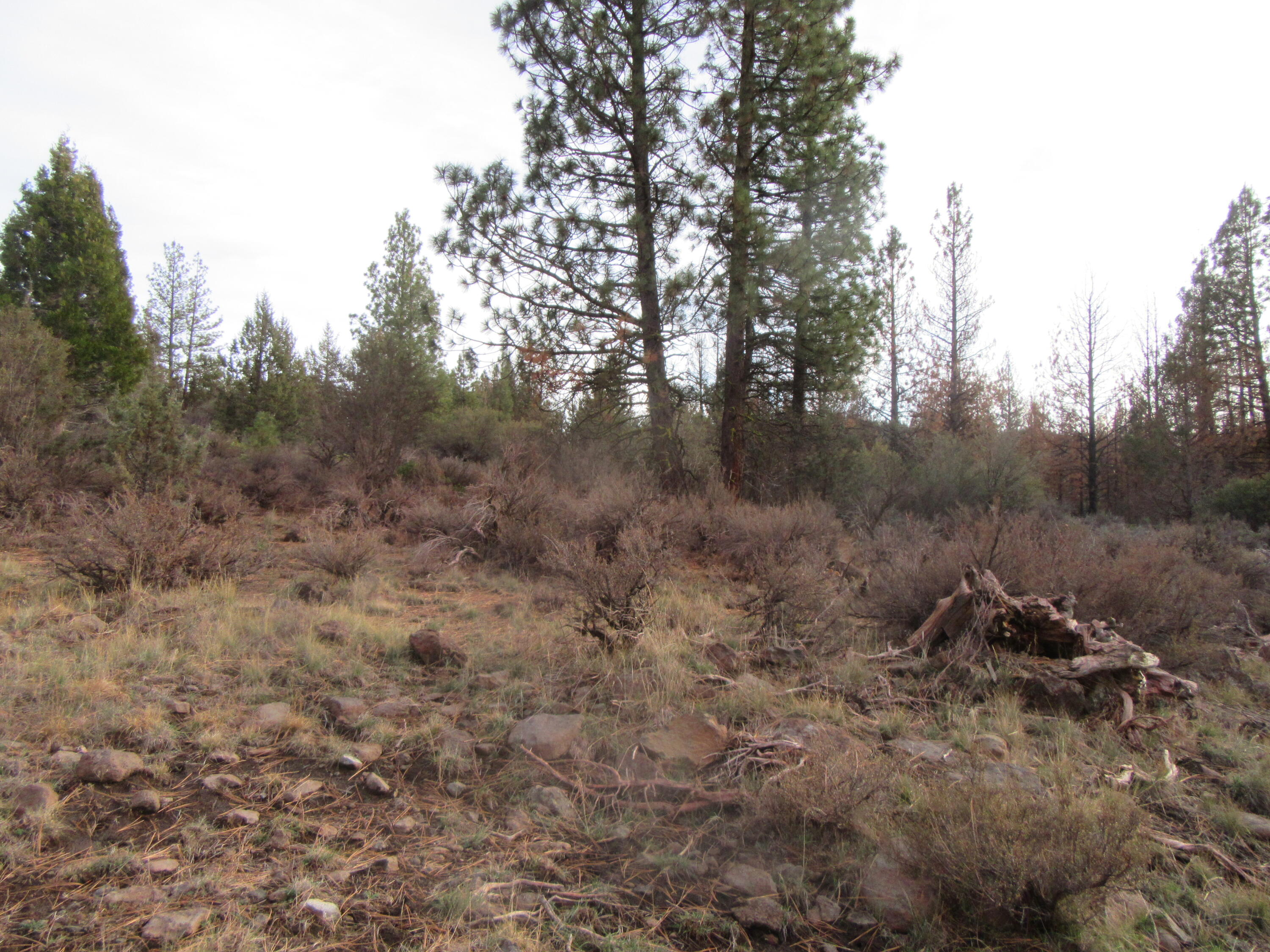 Klamath Falls Forest Estates -Hwy 66 Unit -Plat No. 1 - Land