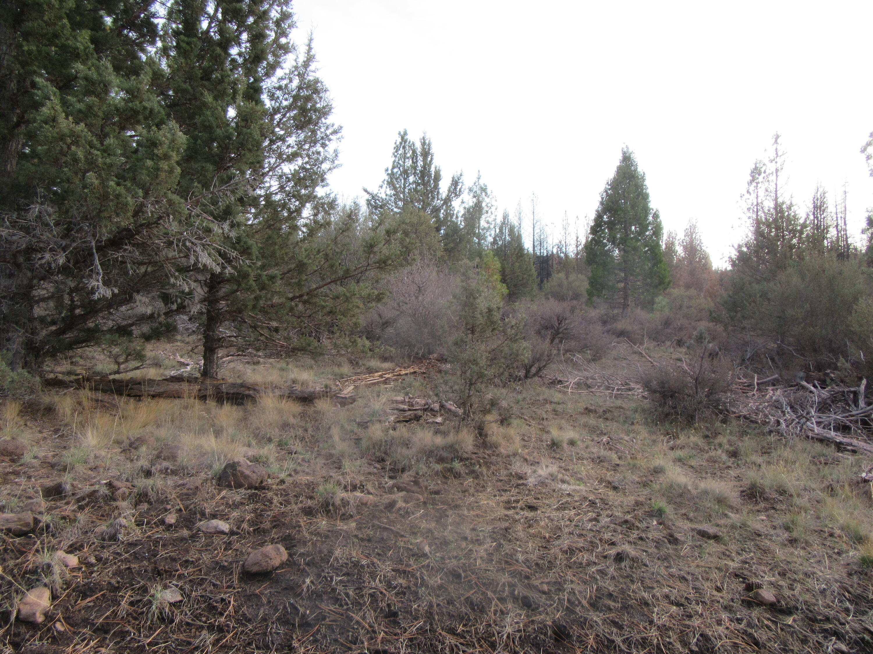 Klamath Falls Forest Estates -Hwy 66 Unit -Plat No. 1 - Land