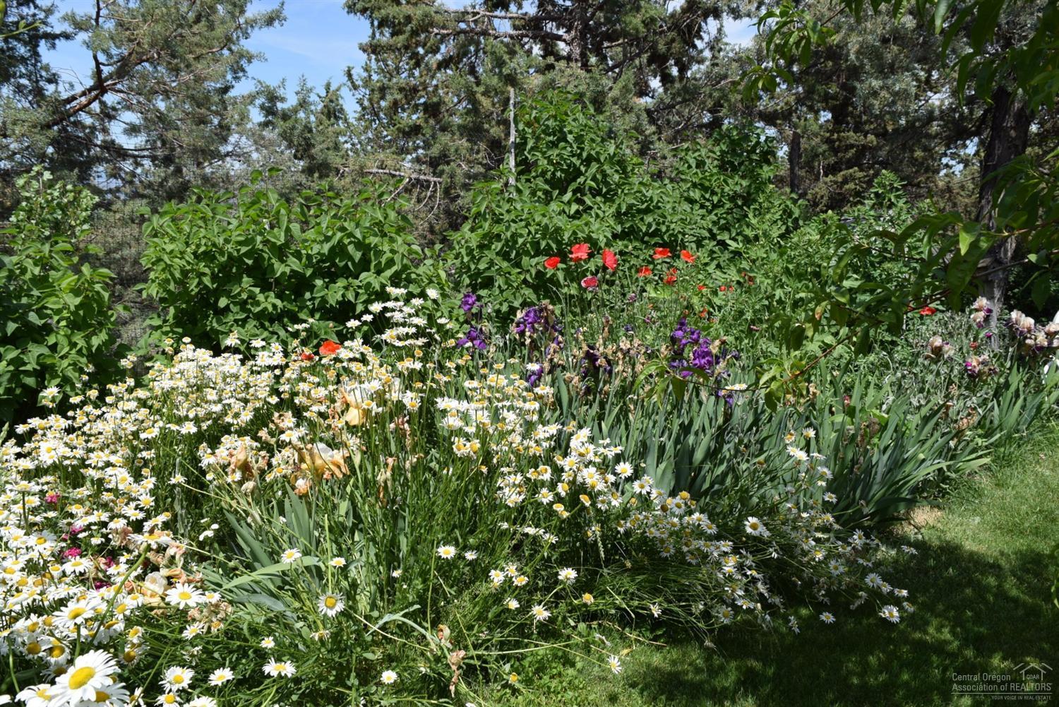 Highlands - Residential