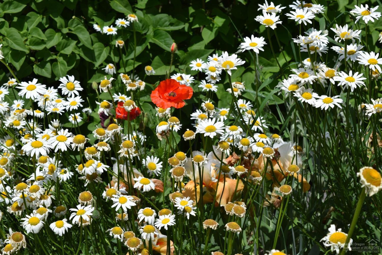 Highlands - Residential