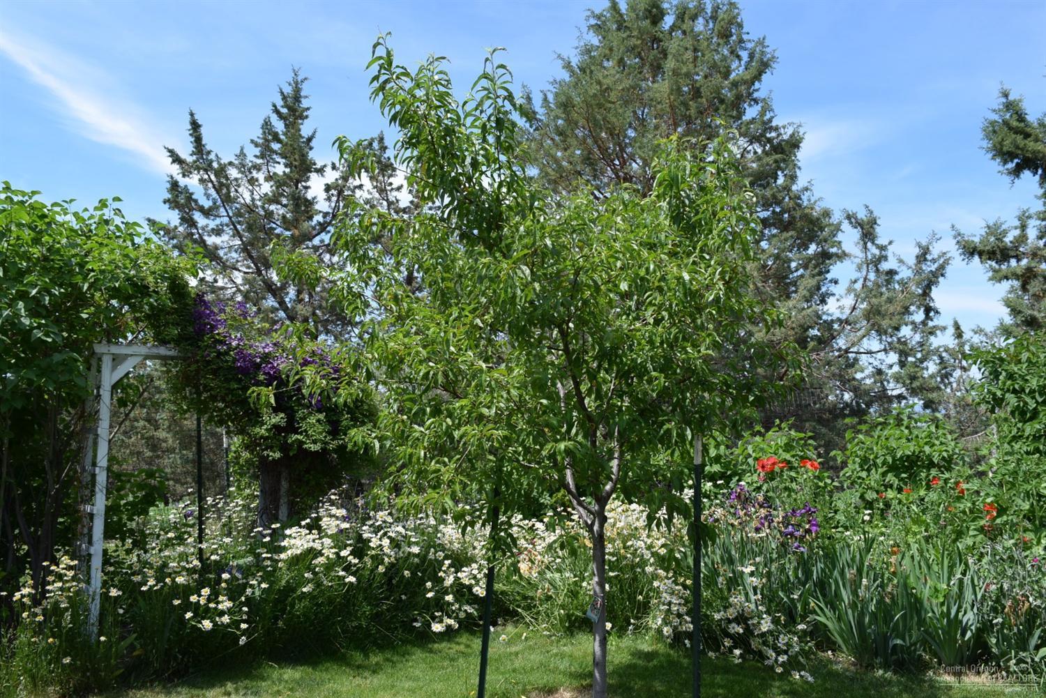 Highlands - Residential