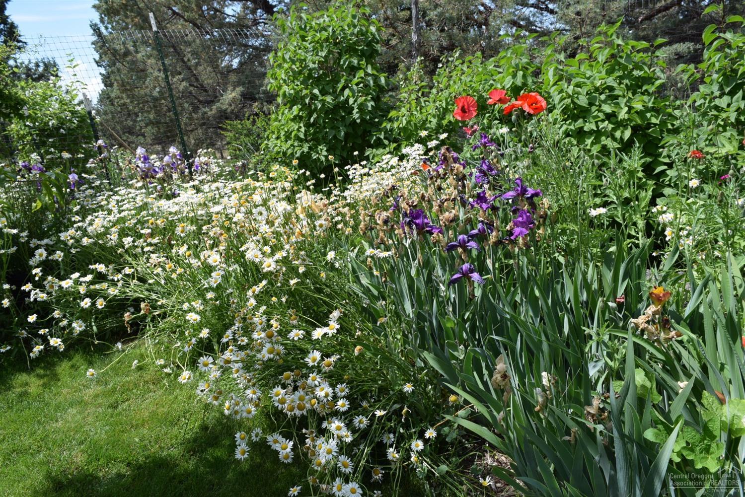 Highlands - Residential