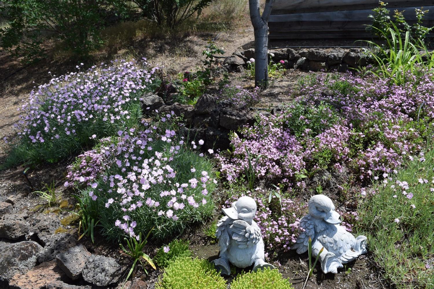 Highlands - Residential