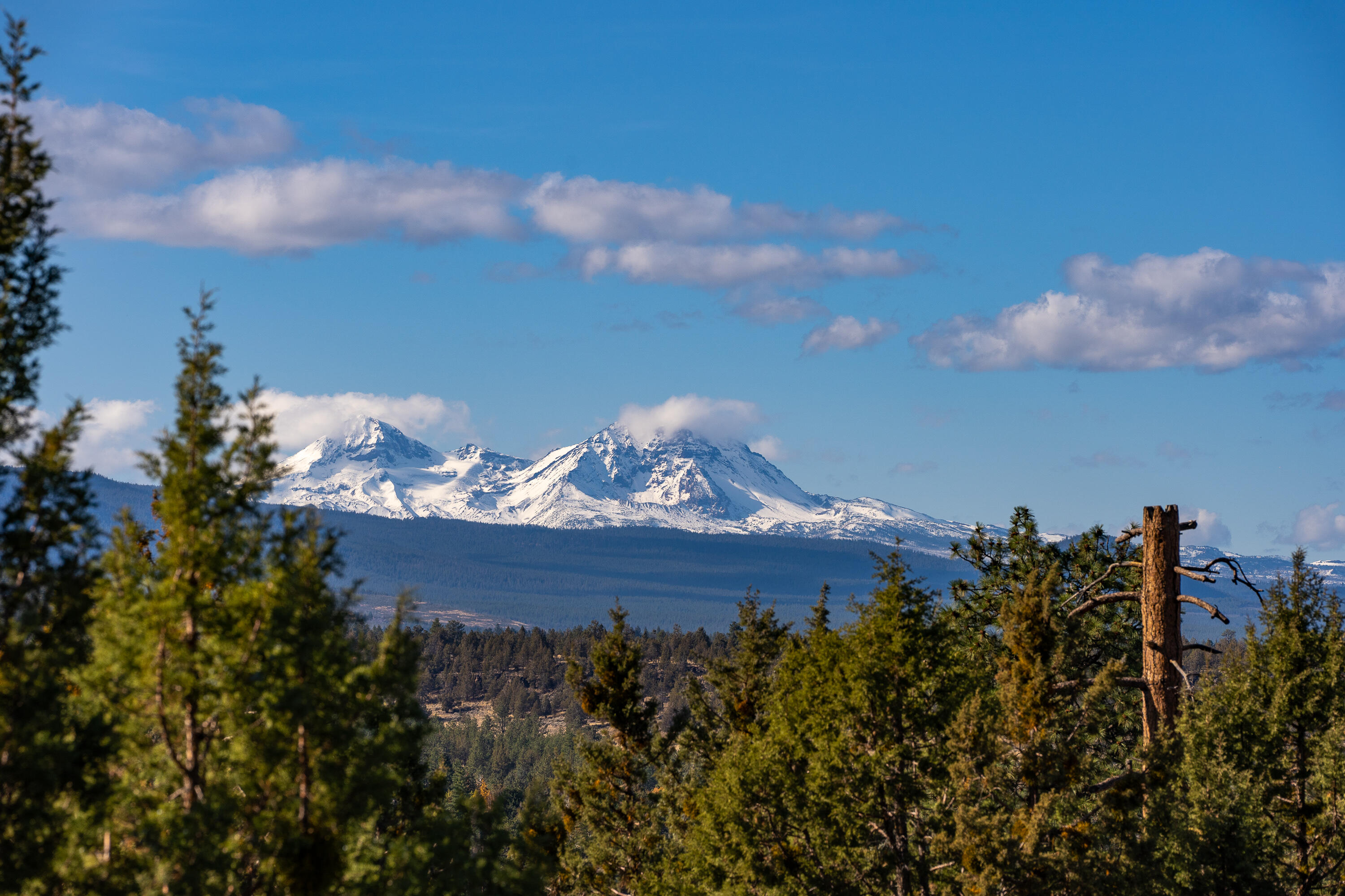 Wyndemere - Residential