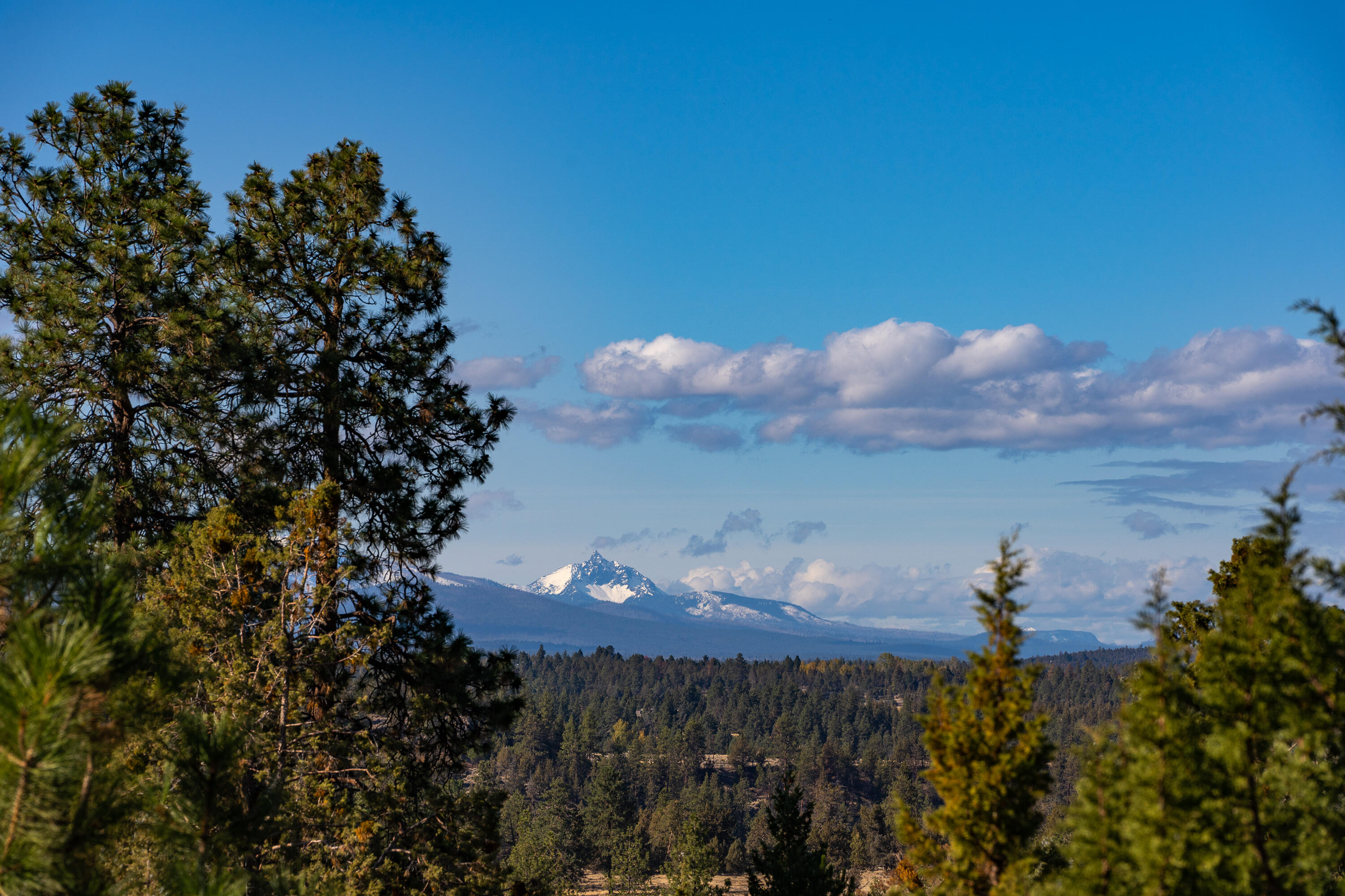 Wyndemere - Residential