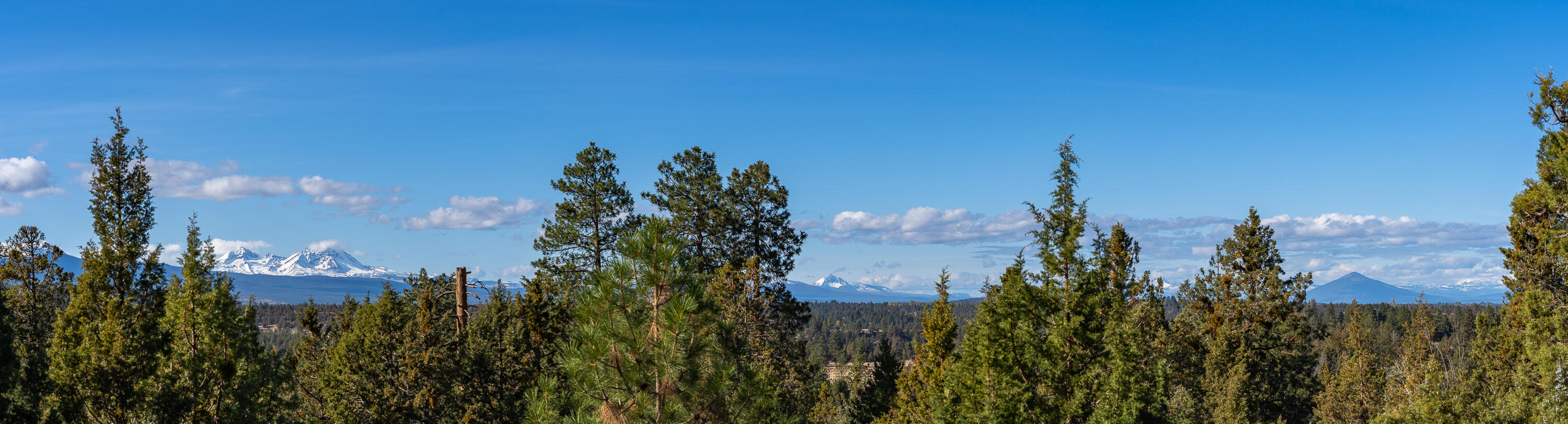 Wyndemere - Residential