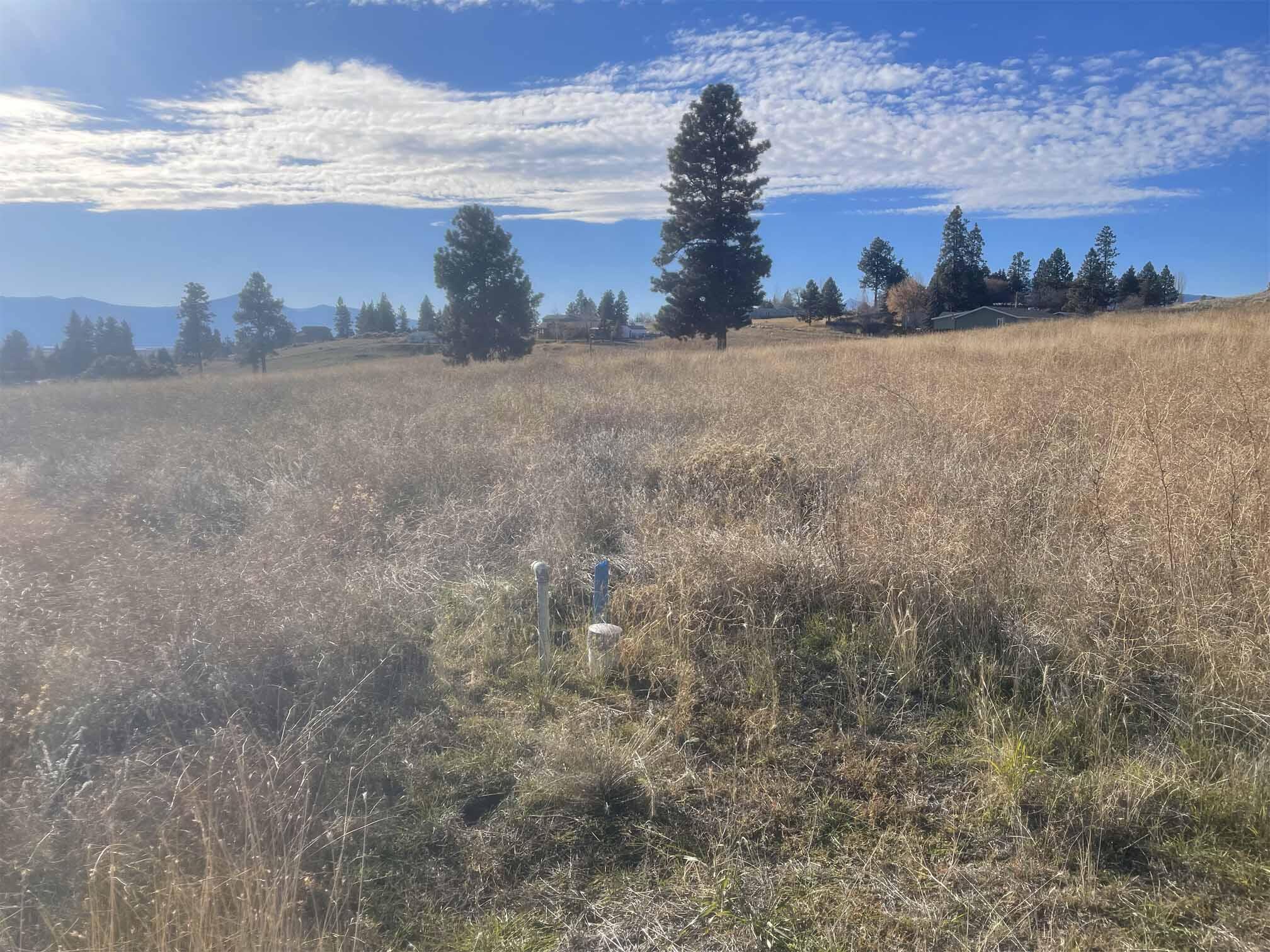 Oregon Shores - Land